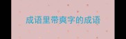 成语里带爽字的成语