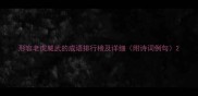 形容老虎威武的成语排行榜及详细附诗词例句