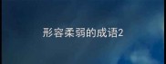 形容柔弱的成语