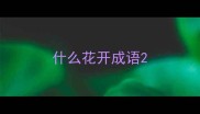 什么花开成语