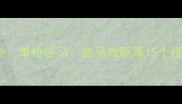 带马字的成语全单枪匹马独马难驱等15个经典成语及用法