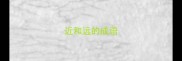 近和远的成语