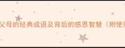 10个赞美父母的经典成语及背后的感恩智慧附使用场景