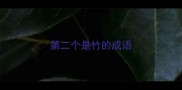 第二个是竹的成语