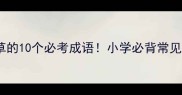 第一个字是草的10个必考成语小学必背常见草字成语全
