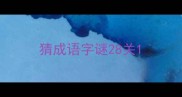 猜成语字谜28关