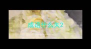 成语什么矢