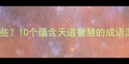 为天而行的成语有哪些10个蕴含天道智慧的成语深度附应用场景