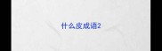 什么皮成语