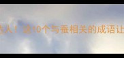 蚕宝宝变身成语小达人这10个与蚕相关的成语让你秒变语文课代表