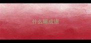 什么稀成语