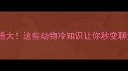 大象成语大这些动物冷知识让你秒变聊天王者