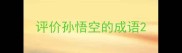 评价孙悟空的成语