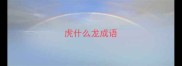 虎什么龙成语