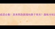 冷门成语合集原来狗急跳墙和鼻子有关趣味冷知识科普