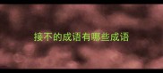 接不的成语有哪些成语