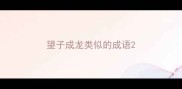 望子成龙类似的成语