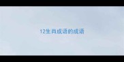 12生肖成语的成语