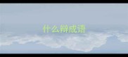 什么辩成语