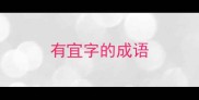 有宜字的成语