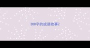 300字的成语故事