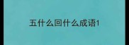 五什么回什么成语