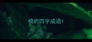 模的四字成语