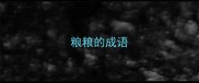 粮粮的成语