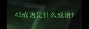 43成语是什么成语