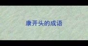 康开头的成语