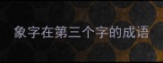 象字在第三个字的成语