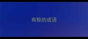 有极的成语