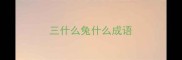 三什么兔什么成语