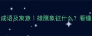 10个描写雄鹰的成语及寓意雄鹰象征什么看懂这些成语更深刻