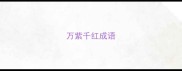 万紫千红成语