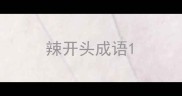 辣开头成语