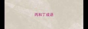丙和丁成语