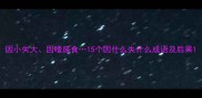 因小失大因噎废食15个因什么失什么成语及后果