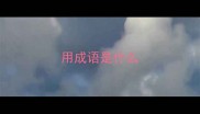 用成语是什么