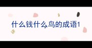 什么钱什么鸟的成语