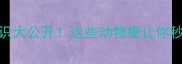动物成语冷知识大公开这些动物梗让你秒变语文课代表
