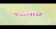 带十二生肖猪的成语