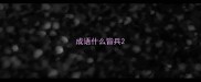 成语什么皆兵
