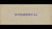 含月的成语有什么