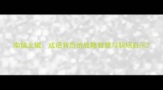 南辕北辙成语背后的战略智慧与职场启示