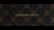 含成语有哪些成语大全