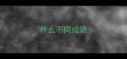 什么不同成语