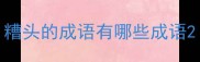 糟头的成语有哪些成语