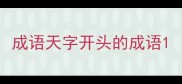 成语天字开头的成语