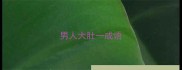 男人大肚一成语
